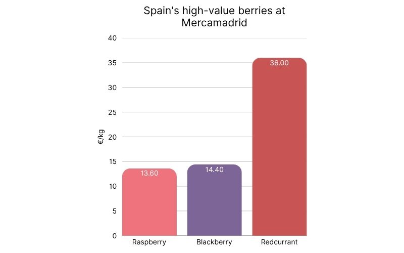 Spain´s high-value berries at Mercamadrid.jpg